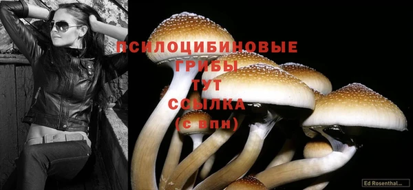ПСИЛОЦИБИНОВЫЕ ГРИБЫ Майский