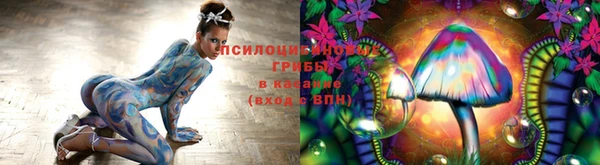 гашик Мегион