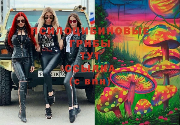 гашик Мегион