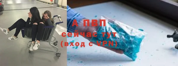 ПСИЛОЦИБИНОВЫЕ ГРИБЫ Майский