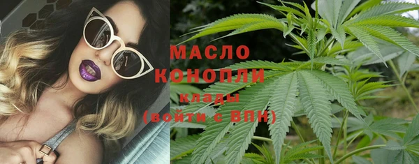 гашик Мегион