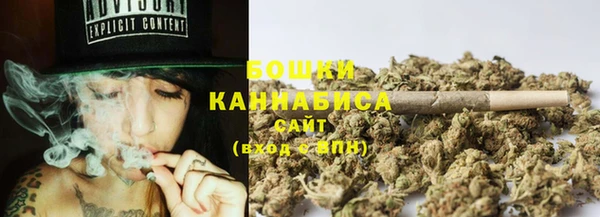 гашик Мегион
