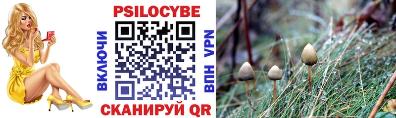 Псилоцибиновые грибы Magic Shrooms Темрюк