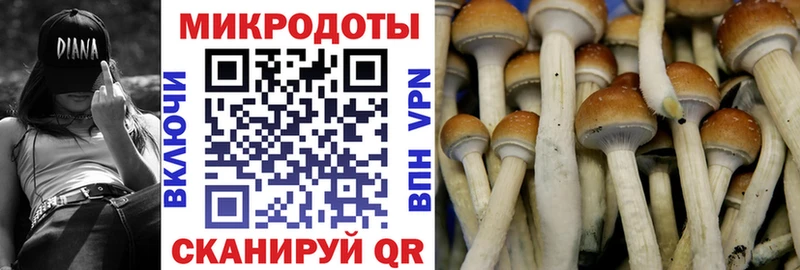 Псилоцибиновые грибы мухоморы  OMG ссылка  Темрюк 