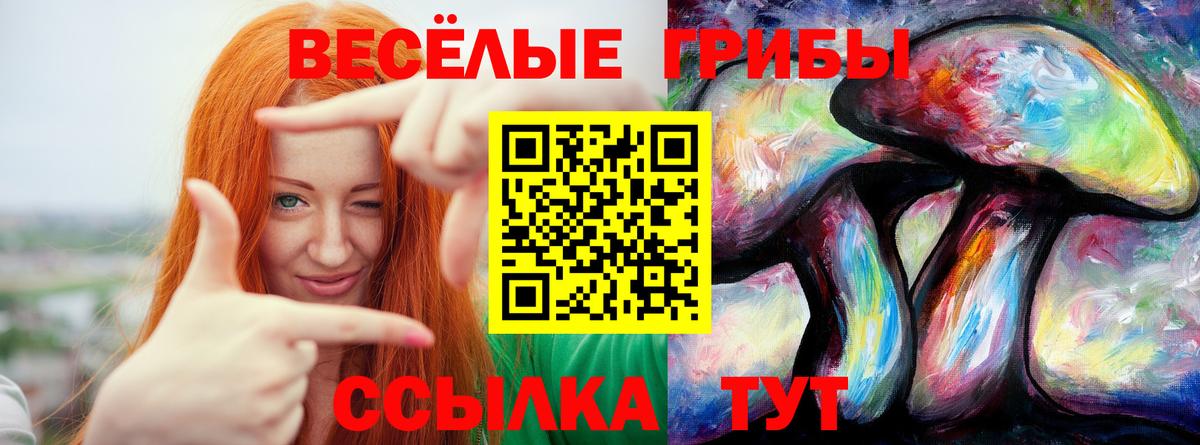 Псилоцибиновые грибы GOLDEN TEACHER  Темрюк 
