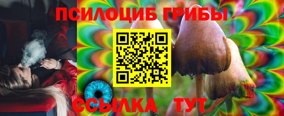 Псилоцибиновые грибы GOLDEN TEACHER Темрюк